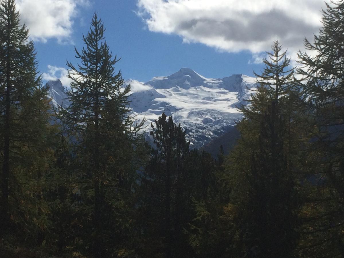 Ferienhaus Alea Saas-Grund Luaran gambar