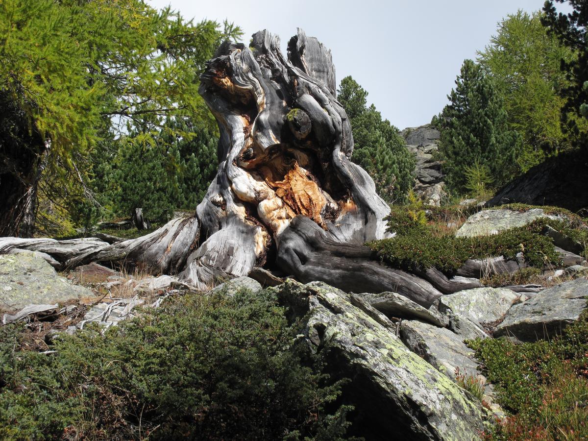 Ferienhaus Alea Saas-Grund Luaran gambar