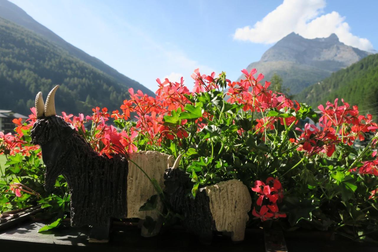 Ferienhaus Alea Saas-Grund Luaran gambar